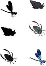 Find the right shade. Educational children matching game with cartoon pond snail, dragonfly and water beetle isolated on white